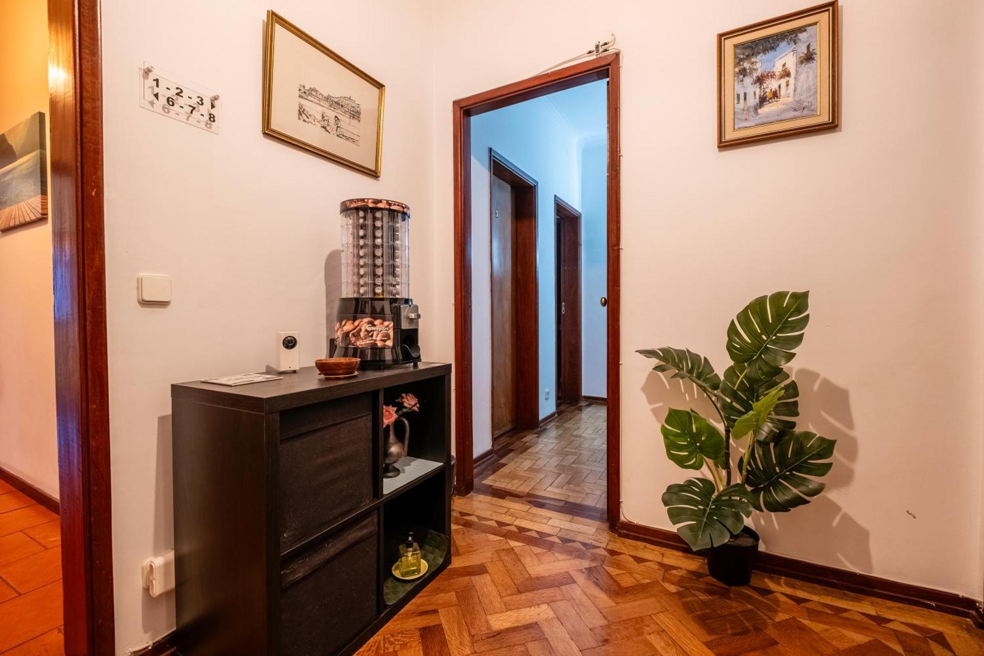 Celas Dream Studio Coimbra Exteriör bild